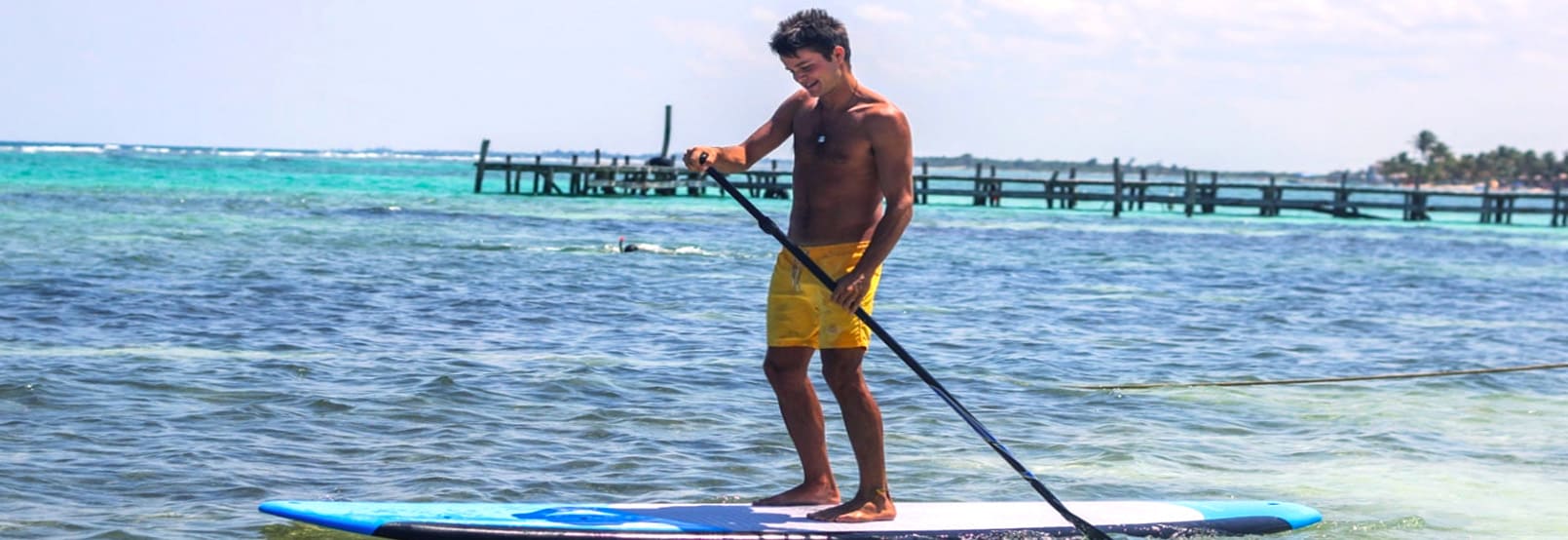 banner